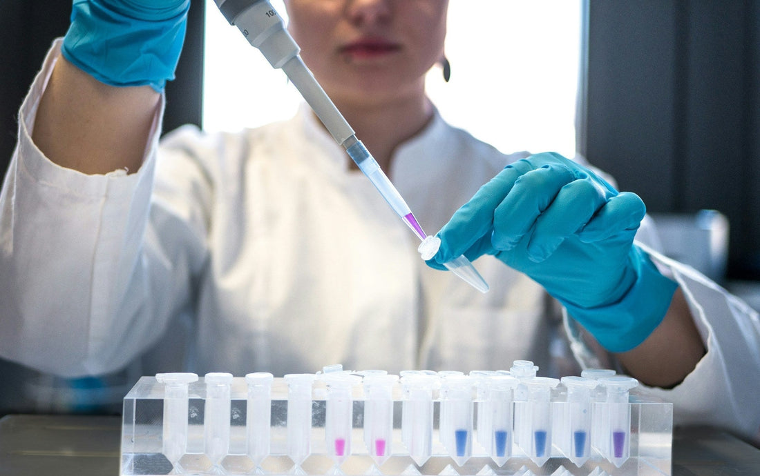 Wissenschaft und Studien hinter Magnesium